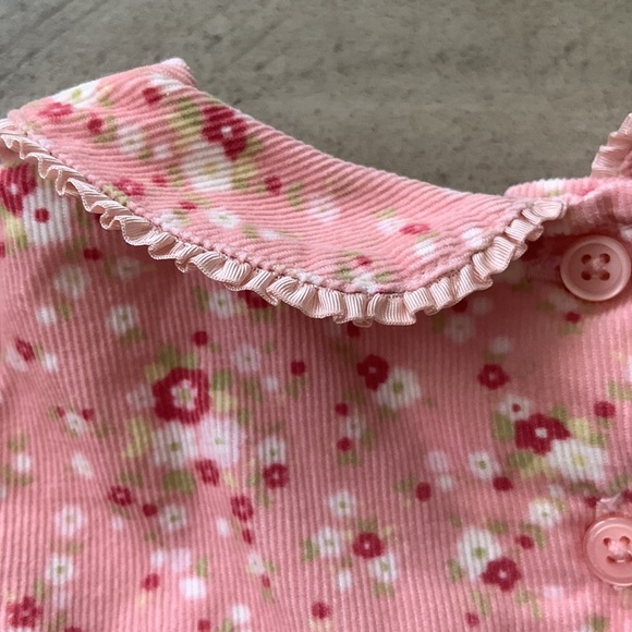 Gymboree Velvet Floral Dress - Picture 8 of 8
